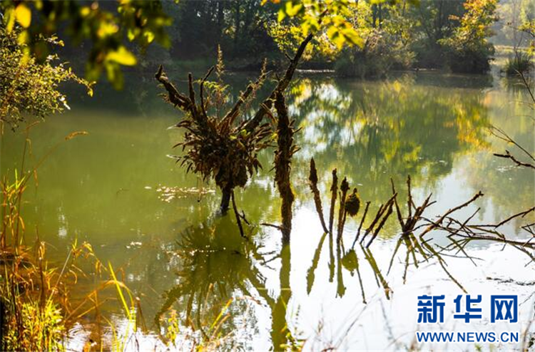 湖北鶴峰：秋天董家河 層林盡繪水墨卷