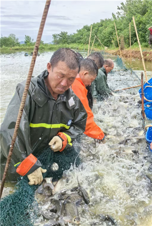 探索湖泊水質保證金管理模式 武漢三位水生態管護人領到“獎金”