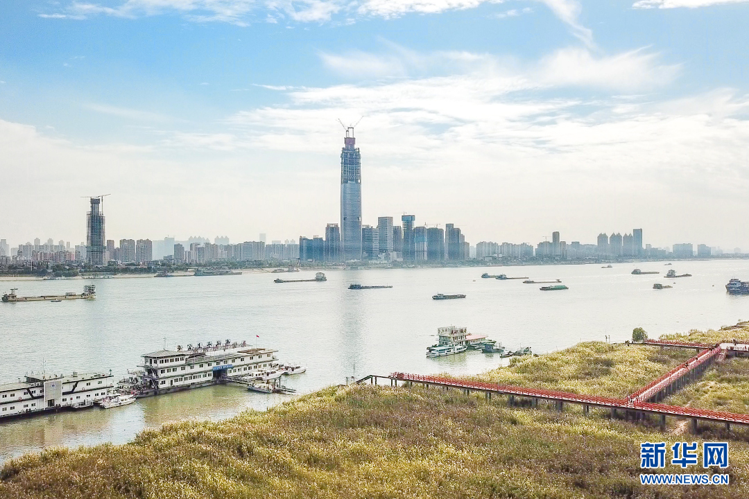 航拍漢口江灘“蘆海” 觀蘆棧道成一景