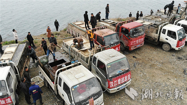 漢江增殖放流2100萬尾魚苗