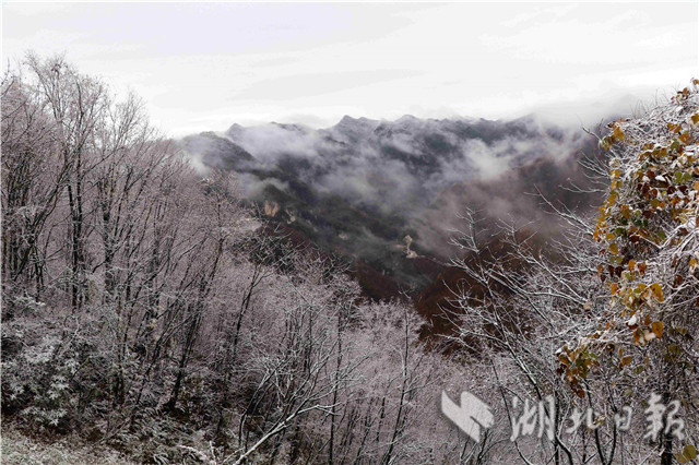 保康降下今秋首場降雪