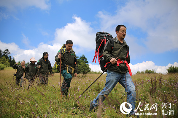 綠水青山間傳來生態迴響——神農架“進退”之間“煥”新顏