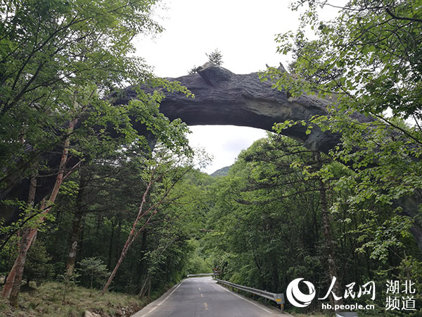 綠水青山間傳來生態迴響——神農架“進退”之間“煥”新顏