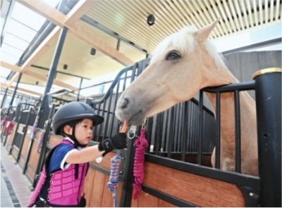 武漢22所小學9月啟動試點馬術課