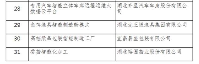 2018湖北省智慧製造試點示範項目出爐 31家企業榜上有名