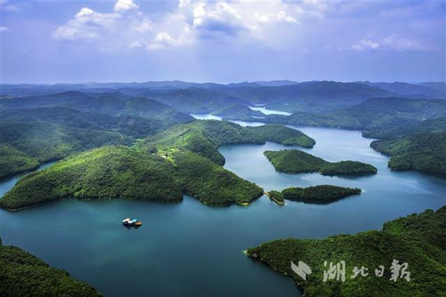 荊宜共建漳河中華秋沙鴨保護基地