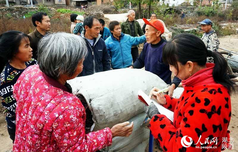 湖北十堰：黃姜外銷助增收