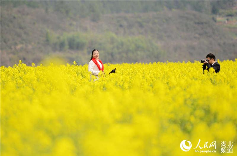 湖北保康：油菜花香引客來