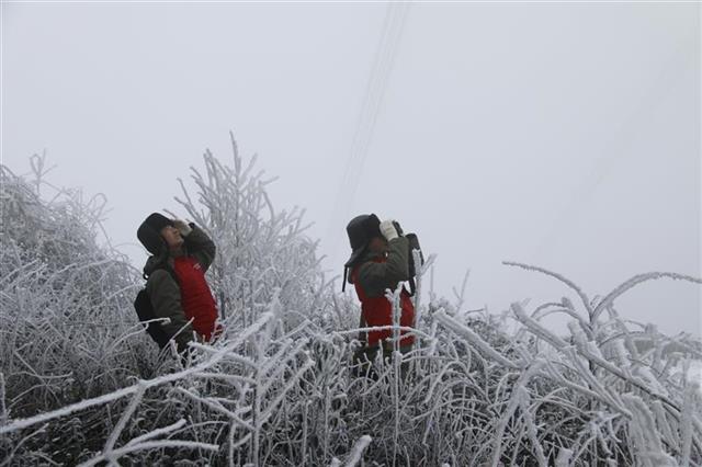 湖北電網度扛過2018年冬季首場雨雪考驗