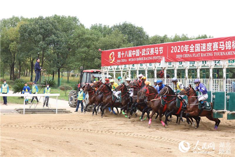 一年一度賽馬盛宴 武漢馬城賽道戰火重燃