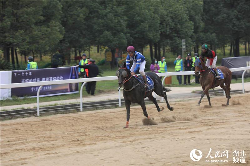 一年一度賽馬盛宴 武漢馬城賽道戰火重燃