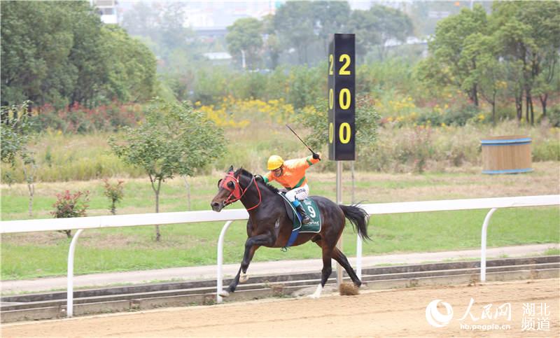 一年一度賽馬盛宴 武漢馬城賽道戰火重燃