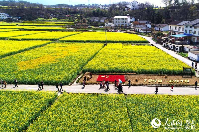 五星紅旗映耀油菜花田 鄉村旅遊涵養愛國情懷