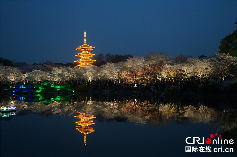 【湖北】【CRI原創】武漢東湖櫻園：“夜櫻”流光溢彩