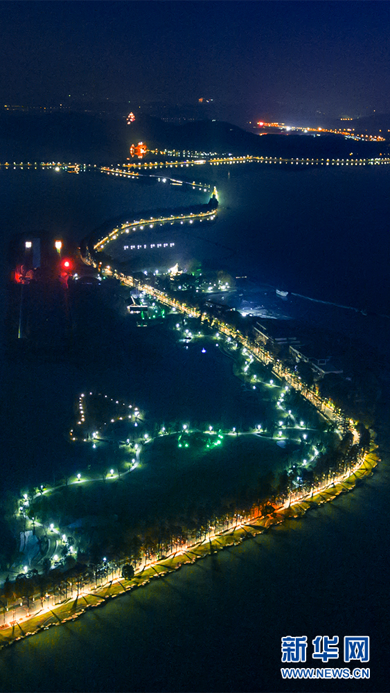 靜夜東湖 絢麗綠道