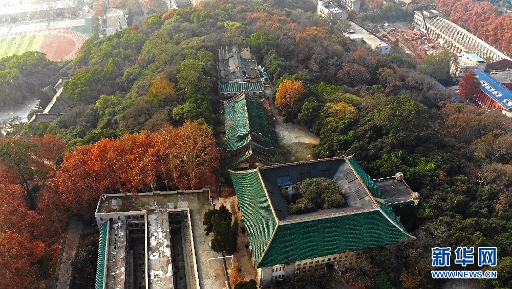 航拍初冬武漢大學 各色樹木與校園古建相映成景