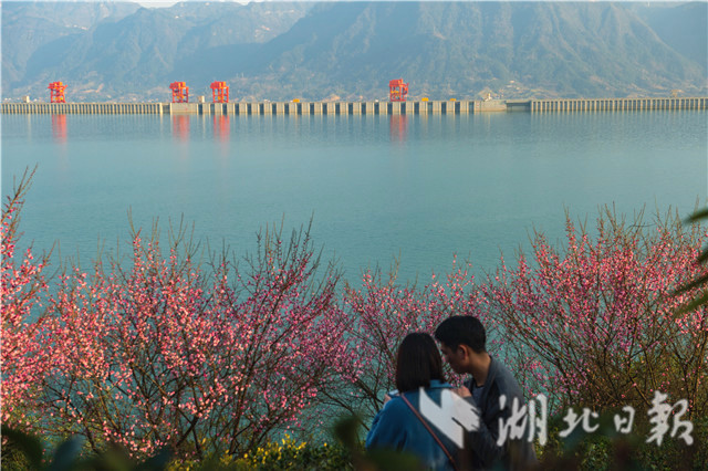 宜昌：梅花暗香醉三峽