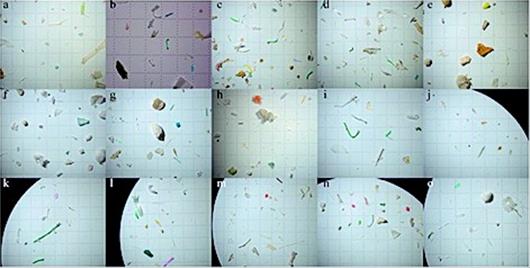 長江微塑膠污染研究取得新進展
