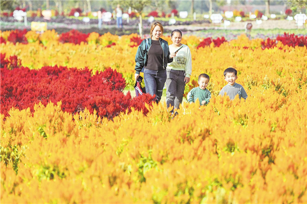 荊州“蔬菜公園”迎客30萬