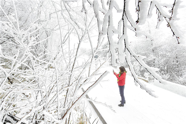 湖北保康迎來今冬首場雪