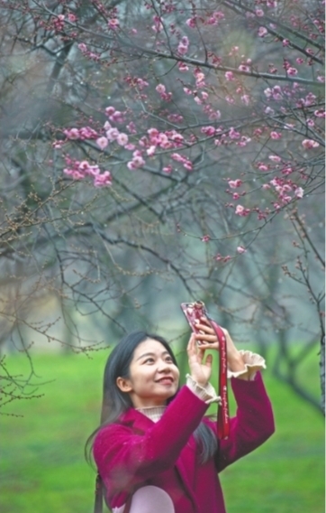 賞蘭花觀花燈 乘遊船看表演 東湖端出文旅盛宴邀你過年