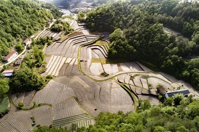 湖北建成生態小流域100多條