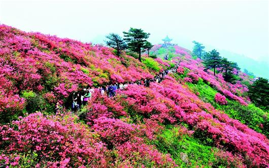 大別山文旅盛會5月亮相