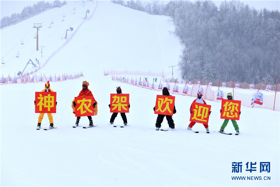 新華網近百萬網友“雲”上圍觀冰雪健兒神農架競速