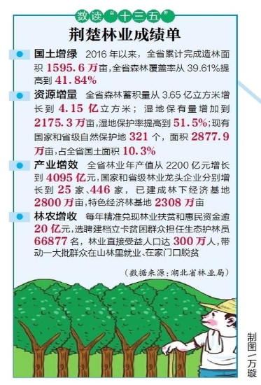 “十三五”湖北省造林綠化近1600萬畝 超額完成計劃任務_fororder_微信截圖_20210105092208