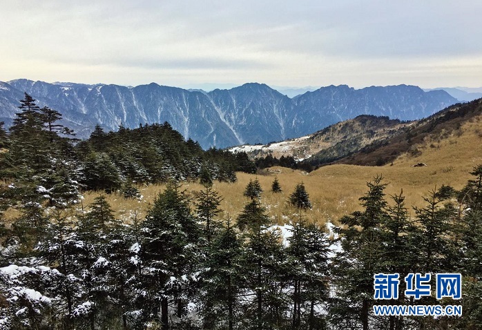 雪後神農架 盡顯靜謐美