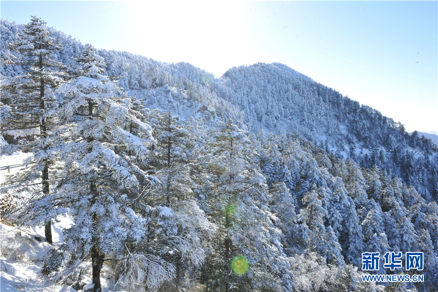 冬季到神農架邂逅一場冰雪奇緣