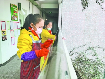 全校學生參與“我們的勞動日” 小學生期末交走心的“勞動作業”