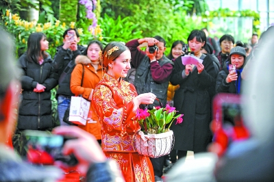 你聞過有巧克力味的蘭花嗎？快去武漢植物園看珍稀蘭花展