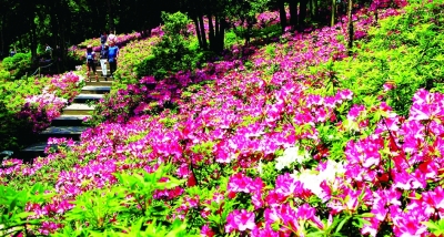 東湖綠心變“花心” 五一去逛世界級賞花勝地