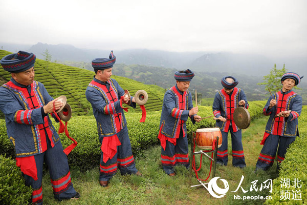 湖北鶴峰：生態茶園展非遺