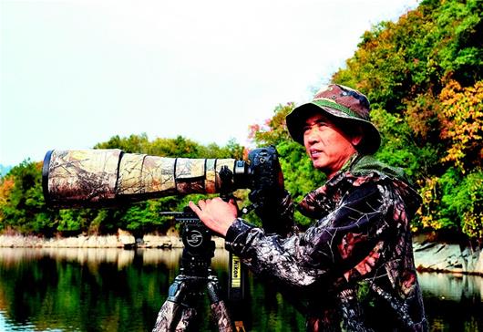 “鳥人”鏡頭捕捉300余野生鳥類