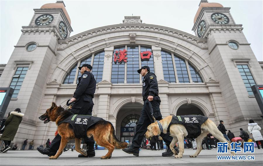 警犬“皮特”備戰它的首個春運