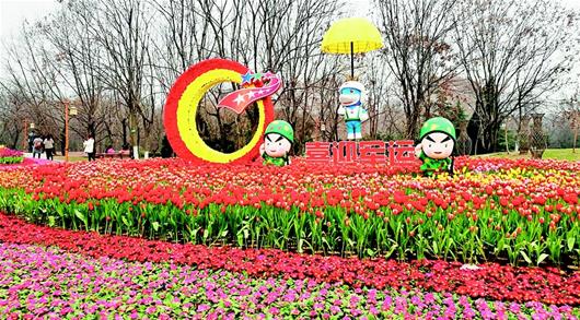 武漢解放公園萬餘株鬱金香爭芳鬥艷