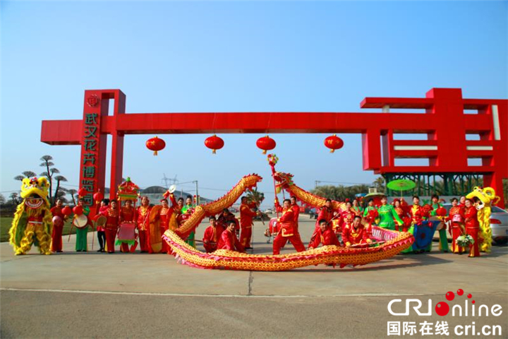 【湖北】【CRI原創】武漢江夏：花卉博覽園第四屆迎春花市即將開市