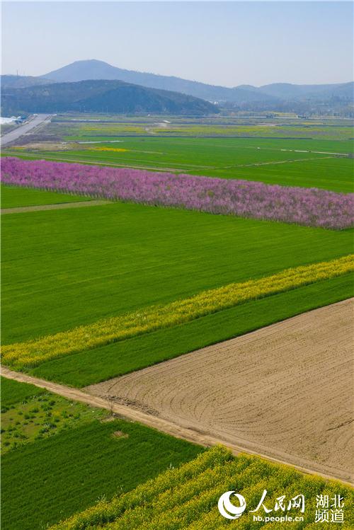 湖北襄陽：春暖大地 田園如畫