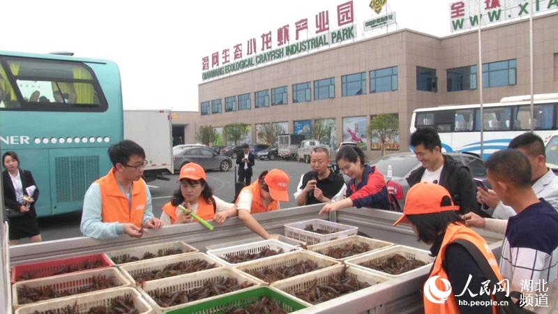 湖北潛江發佈三條小龍蝦主題旅遊線路