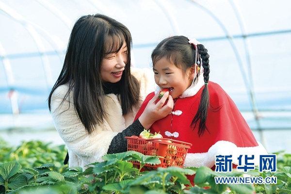 十堰張灣：農旅結合讓“陰影片區”成城市後花園