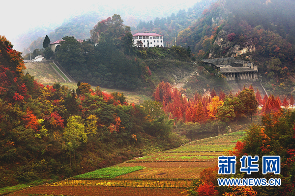 十堰張灣：農旅結合讓“陰影片區”成城市後花園