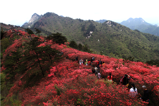 【湖北】【CRI原創】黃岡大別山世界地質公園國際專家組實地考察龜峰山園區