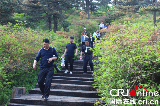 【湖北】【CRI原創】黃岡大別山世界地質公園國際專家組實地考察龜峰山園區