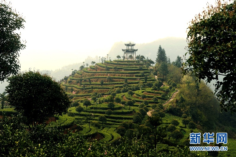 燈戲水鄉笑聲濃 土家山寨贏蝶變