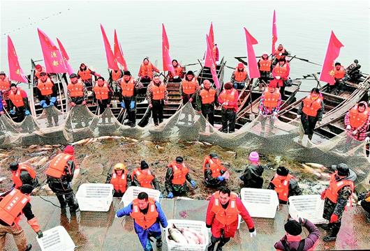 湖北公安：玉湖冬捕“豐收魚”