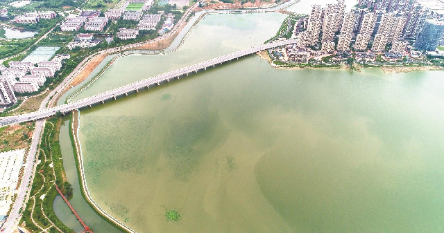 湖水無邊 美景歸來 ——江夏區湖泊治理見聞_fororder_微信圖片_20210305084555