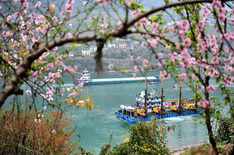 湖北宜昌：長江西陵峽 春景如畫廊