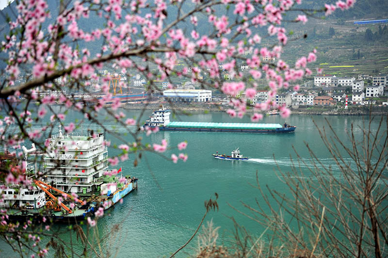 湖北宜昌：長江西陵峽 春景如畫廊